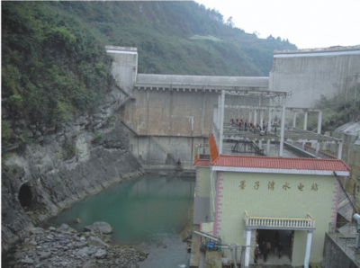 貴沿河縣墨子灣電站大壩、廠房、機(jī)組安裝交鑰匙工程